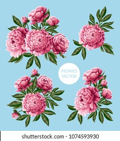 Bouquet with pink peonies flowers for your design. Vector illustration.