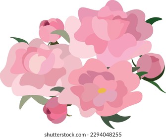 Bouquet of pink peonies in vector format without background