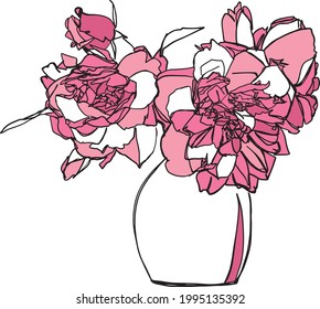 Bouquet of pink peony flowers in a vase, hand drawn vector illustration in line art style