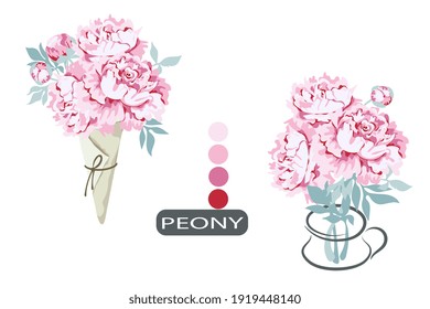 Bouquet of pink peony in paper cornet and peonies in abstract jug. Isolated on white background. Botanical style, vector illustration.