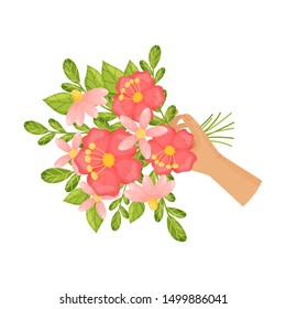 Bouquet of pink and red flowers. Vector illustration on a white background.