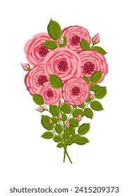 Bouquet of pink roses with green leaves. Botanical vector illustration isolated on white background for postcard, poster, ad, decor, fabric and other uses.