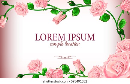 Bouquet of pink roses with the text on the card or invitation.Vector