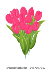 Bouquet of pink tulips. A delicate gift with flowers for a birthday, anniversary, or a special occasion. Design element for greeting card, invitation, poster, print.