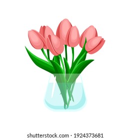 Bouquet pink tulips in a glass transparent vase. Vector illustration isolated on white background.