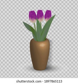 Bouquet of pink tulips in vase isolated on white background