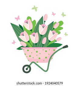 A bouquet of pink tulips in a wheelbarrow. Vector, white background, isolated.