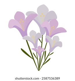 bouquet of pink and white lilies, isolated on white background, flat style, vector illustration