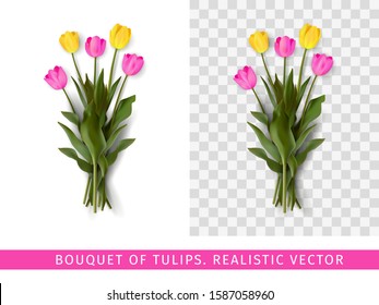 Bouquet of pink and yellow tulips on a transparent background. Realistic vector illustration