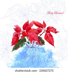 Bouquet of Poinsettia flowers.Vector watercolor illustration