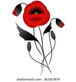 Bouquet of poppies.