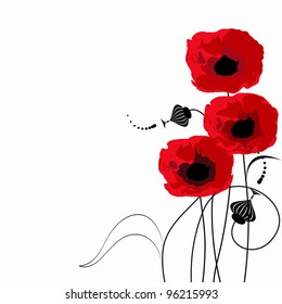 a bouquet of poppies