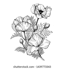 
Bouquet of poppy flowers - vector illustration, traced illustration, black and white, contour, isolated on white background. Element for the design of wallpaper prints, textiles, wrapping paper.