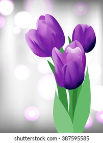 Bouquet of puple tulips