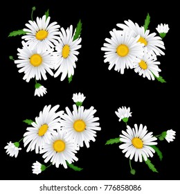 Bouquet realistic daisy, camomile flowers. Vector illustration