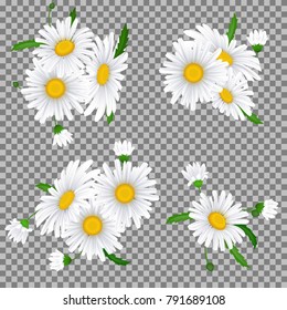 Bouquet realistic daisy, camomile flowers