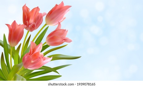Bouquet of realistic tulips on a light blue background. Composition of pink tulips buds. Template for invitation card, banner, poster with spring flowers. Vector illustration
