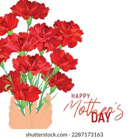 Bouquet of red carnations in hands. Postcard for Mother's Day. Flowers as a gift to beloved parents as a sign of respect and gratitude. Thank you dear person.