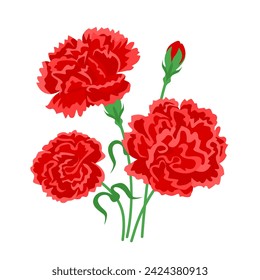 Bouquet of red carnations isolated on a white background. Vector cartoon illustration of beautiful flowers.