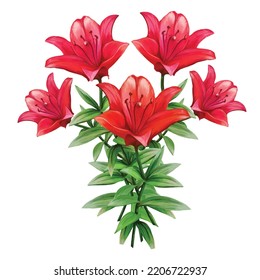 bouquet of red lily flowers vector illustration