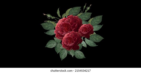 Bouquet de peonías rojas con hojas verdes sobre fondo negro, gráficos vectoriales, arte digital 
