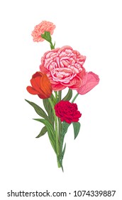 Bouquet of red, pink flowers: carnation, peony, tulip, green leaves on white background, hand draw, colorful engraving vintage sketch style. Botanical illustration for design, vector