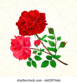 Bouquet of red  and pink roses and rosebuds festive background cracks vintage vector botanical illustration hand draw