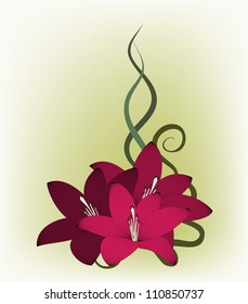  Bouquet of red and purple roses on a white background