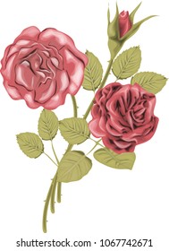 Bouquet of red roses