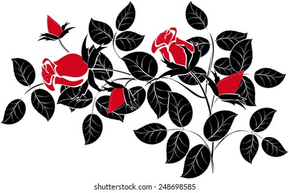 Bouquet of red roses and black leaves. EPS10 vector illustration. 