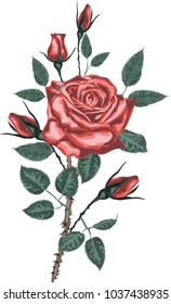 Bouquet of red roses - high quality vector art