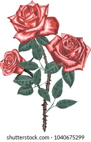 Bouquet of red roses - high quality vector art