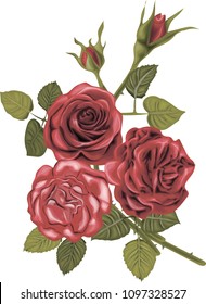 Bouquet of red roses - high quality vector art