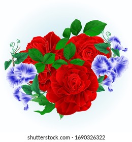 Bouquet  red  roses and Morning glory  on a blue background watercolor vintage vector botanical illustration editable hand draw