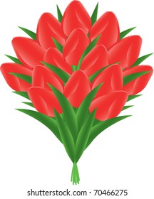 bouquet of red tulips