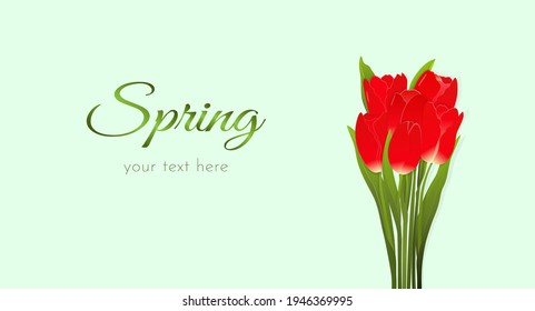 Bouquet of red tulips on a pale green background for banner, flyer, cover with space for text. Vector illustration