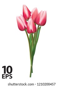 Bouquet of red tulips on a white. Realistic vector 3d illustration