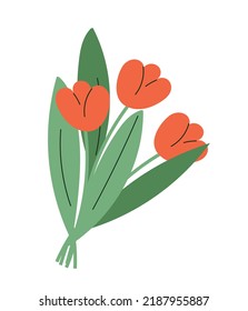 Bouquet of red tulips. Romantic present for Valentines Day, March 8 or wedding anniversary. Symbol of spring season. Aesthetics, beauty and elegance metaphor. Cartoon flat vector illustration