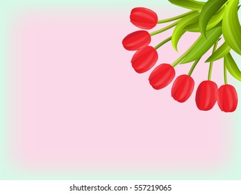 Bouquet of red tulips, spring background for a card