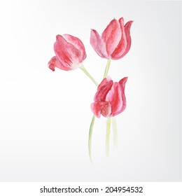 bouquet. red tulips. watercolor.