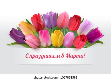 Bouquet of red, yellow, pink, purple and lilac tulips under a white banner with Russian language text Happy Women's day. Horizontal card with vector Photorealistic delicate colorful spring flowers.