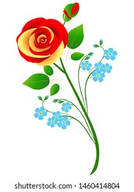Bouquet of rose with blue forget me not flowers on a white background.