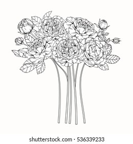 Bouquet of rose flower by hand drawing on white backgrounds. Vector illustration