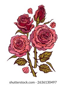Bouquet of rose. Rose bouquet vector illustration. Love flower. Floral bouquet wrapped in gift paper. Gift for special day like birthday, valentine day, women s day, mother s day