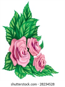 bouquet of the roses