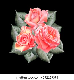 Bouquet of roses in black background.. Vector. Watercolor. Hand drawn.