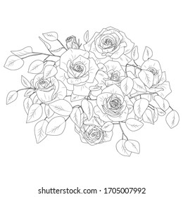 Bouquet of roses and branches with leaves. Hand-drawn vector illustration.