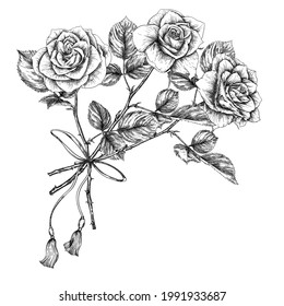 Bouquet of roses. Classic botanical drawing, engraving style. Vector illustration.