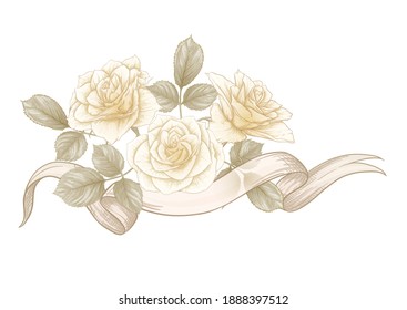 Bouquet of roses. Elements for design. Classic botanical drawing, engraving style. Vector illustration.