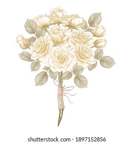 Bouquet of roses. Elements for design. Classic botanical drawing, engraving style. Vector illustration.